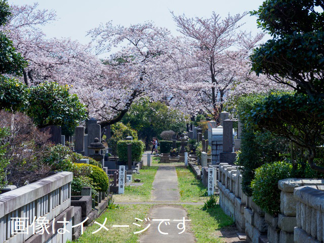 高知市朝倉松田山地区墓地